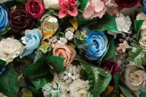 international travel