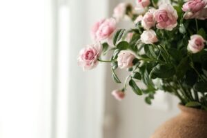 international adventure