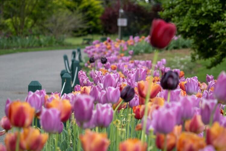 international travel