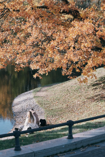  travel internationally