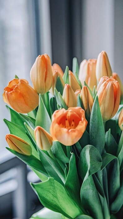 international travel