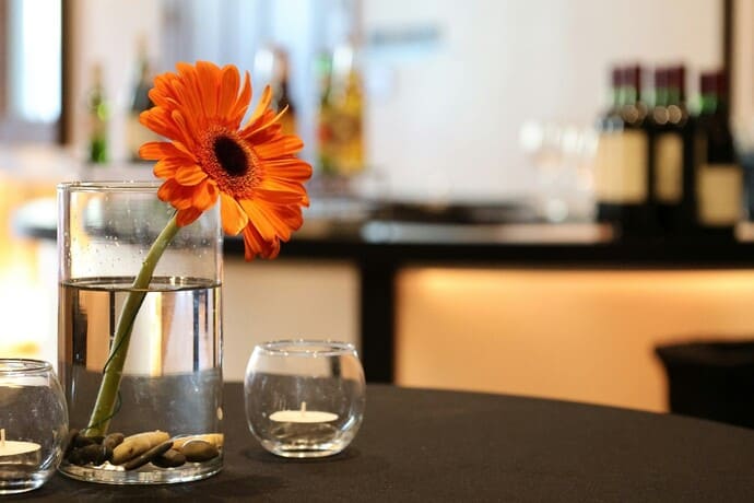 international travel