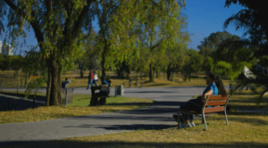 travel internationally